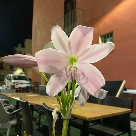 Restaurant & Rooms Cabrit سانت ماتيو المظهر الخارجي الصورة