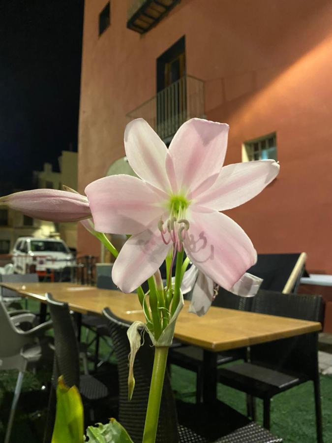 Restaurant & Rooms Cabrit سانت ماتيو المظهر الخارجي الصورة