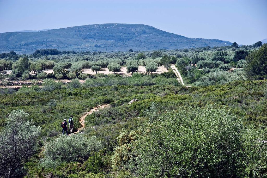 Restaurant & Rooms Cabrit سانت ماتيو المظهر الخارجي الصورة